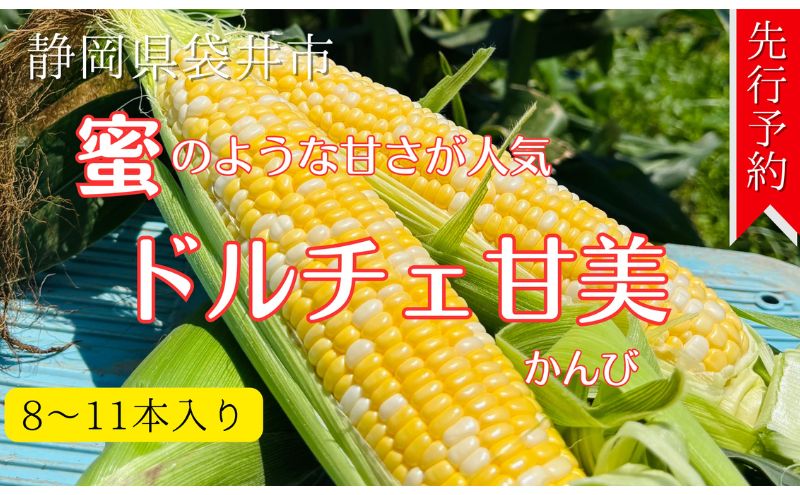 【先行予約】リピーター続出！とうもろこし【ドルチェ甘美】