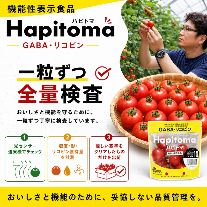 【12ヶ月定期便】機能性表示食品 Hapitoma ハピトマ 訳あり（1.8kg）【配送不可：北海道・沖縄・離島】健康 ヘルシー 人気 厳選  野菜 緑黄色野菜 産地直送 ダブル成分 GABA リコピン トマト 国産 静岡県産 袋井市産 食材 