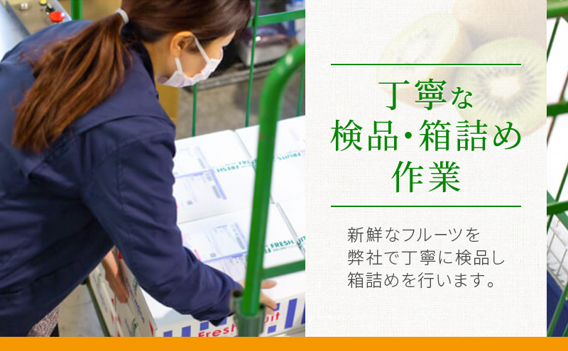 静岡県袋井市産 クラウンメロン 山等級 1.3kg 1個 静岡県 袋井市 メロン 山 フルーツ 果物 人気 1月～11月