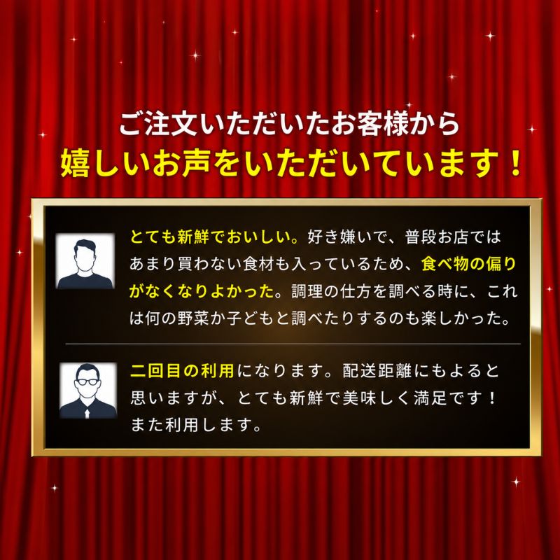 定期便 12回 季節の野菜 詰め合わせ セット 冷蔵 旬