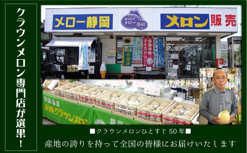 冷凍クラウンメロン（バラ凍結）約500g【配送不可：離島】 果物類 メロン青肉 