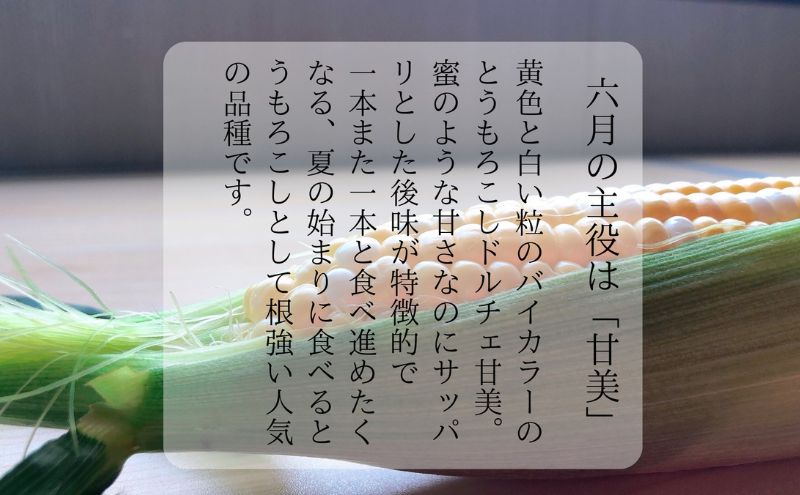 【先行予約】リピーター続出！とうもろこし【ドルチェ甘美】
