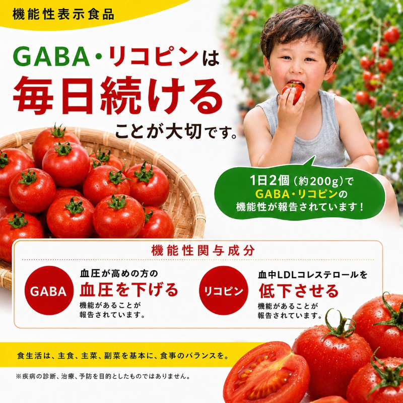 機能性表示食品 Hapitoma ハピトマ 糖度6（1kg）【配送不可：北海道・沖縄・離島】健康 ヘルシー GABA リコピン 人気 厳選 袋井市 野菜 トマト ミニトマト とまと 