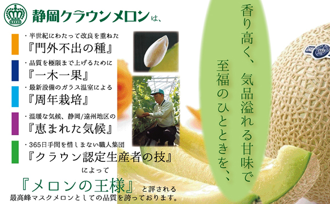 クラウンメロン（白等級）中玉　1玉入 果物類 メロン青肉 
