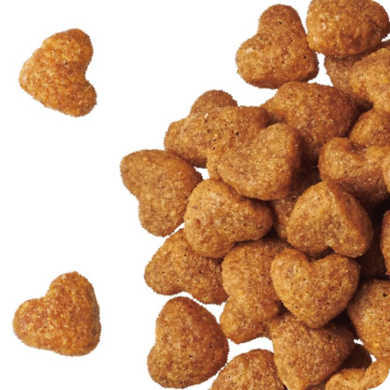 ビューティープロ ドッグ 子犬用 12ヵ月頃まで 200g ケース販売 ペットフード 犬 愛犬 ペット ペット用品 犬用 愛犬用 子犬用 ごはん 静岡 袋井市
