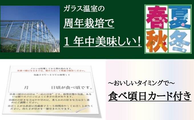 【5ヶ月定期便】クラウンメロン（白上級）1玉入 メロン デザート グルメ 果物 フルーツ 季節の果物 スイーツ 袋井市 静岡県