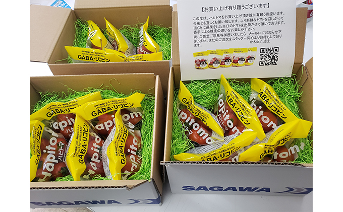 【36回 定期便】機能性表示食品 Hapitoma ハピトマ 糖度7（1kg）【配送不可：北海道・沖縄・離島】健康 ヘルシー GABA リコピン 人気 厳選 袋井市 野菜 トマト 静岡県産 