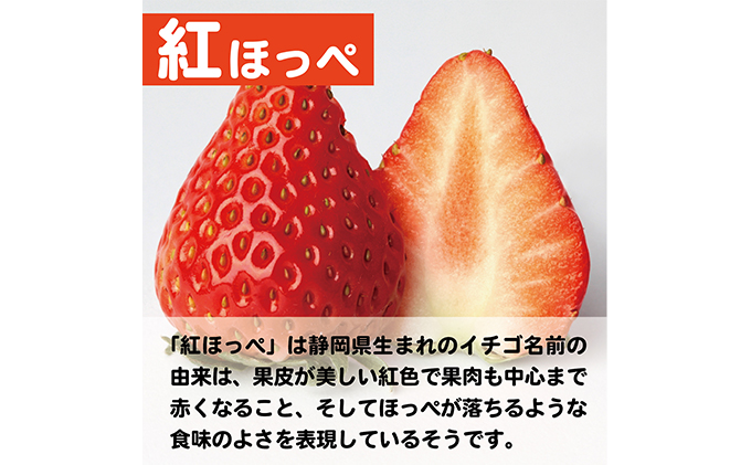 【配達地域限定】農水大臣賞受賞農園からお届け イチゴ・紅ほっぺ 4パック 配送:2026年2月上旬頃より順次発送 果物類 いちご 苺