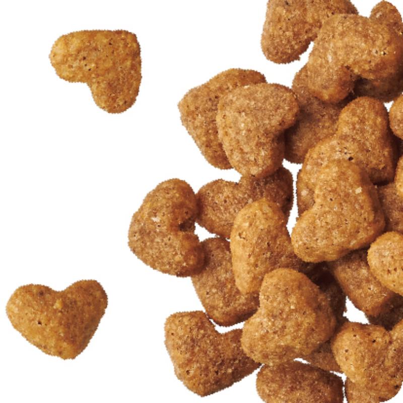ビューティープロ ドッグ 成犬用 1歳から 200g ケース販売 ペットフード 犬 愛犬 ペット ペット用品 犬用 愛犬用 ごはん 静岡 袋井市