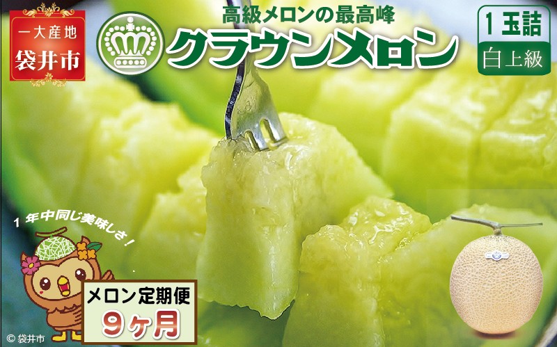【9ヶ月定期便】クラウンメロン（白上級）1玉入 メロン デザート グルメ 果物 フルーツ 季節の果物 スイーツ 袋井市 静岡県