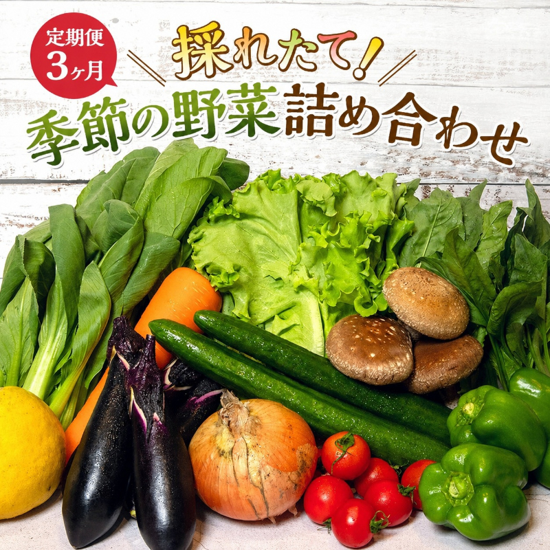 定期便 12回 季節の野菜 詰め合わせ セット 冷蔵 旬