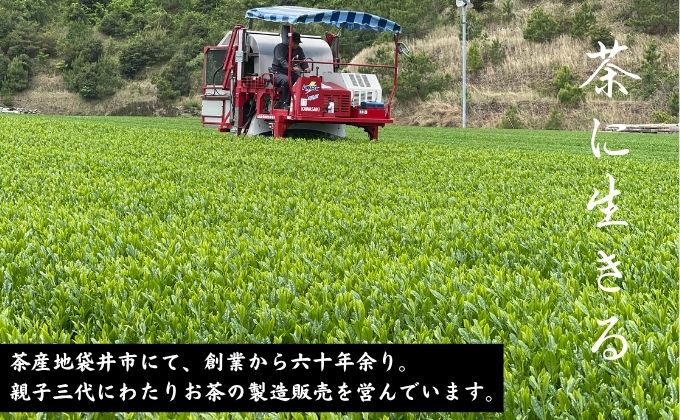 厳選　深蒸し新茶 1（70g×3袋）