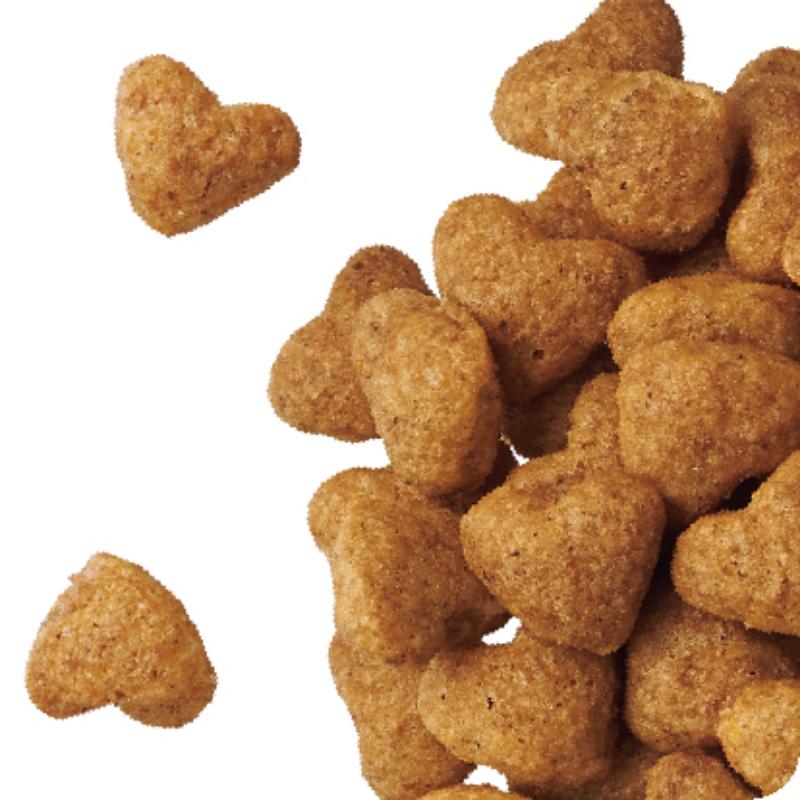 ビューティープロ ドッグ 10歳以上 660g ケース販売 ペットフード 犬 愛犬 ペット ペット用品 犬用 愛犬用 ごはん 静岡 袋井市