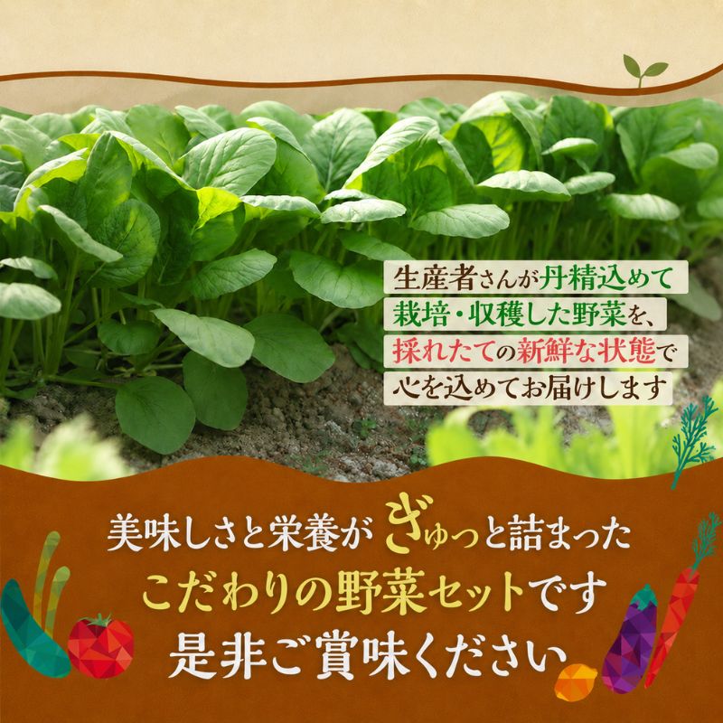 定期便 12回 季節の野菜 詰め合わせ セット 冷蔵 旬