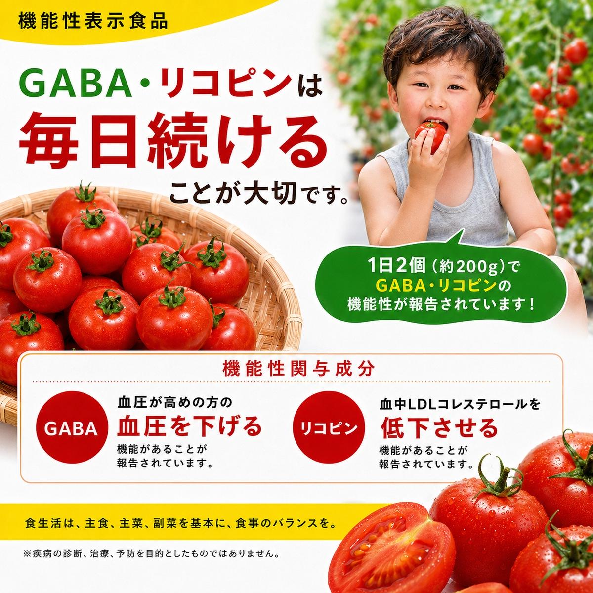 機能性表示食品 Hapitoma ハピトマ 糖度8（1kg）【配送不可：北海道・沖縄・離島】健康 ヘルシー GABA リコピン 人気 厳選 袋井市 野菜 トマト ミニトマト とまと 