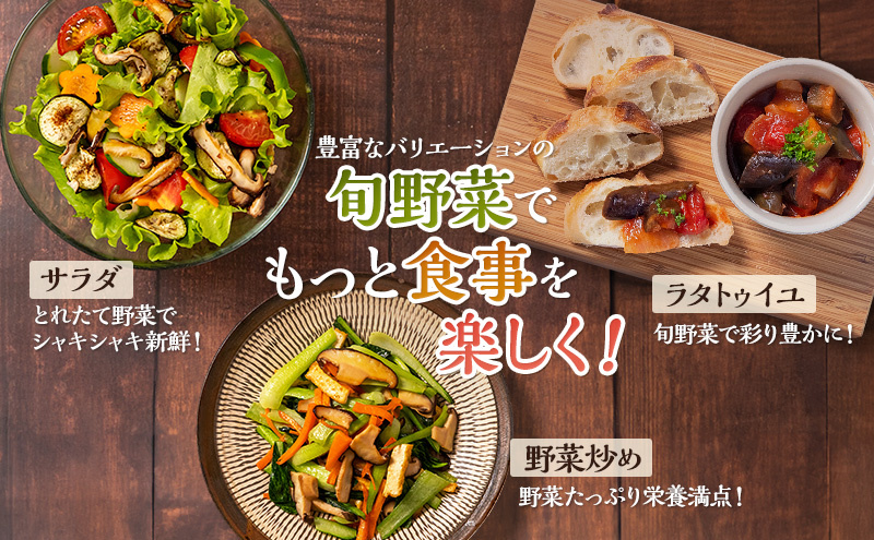 定期便 12回 季節の野菜 詰め合わせ セット 冷蔵 旬