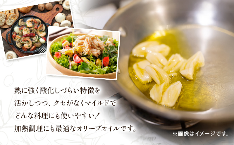 テレビで紹介されました!【受賞農家が選出】 高級イタリア産 エキストラ・ヴァージン・オリーブオイル 450g×6個【隔月定期便2回(4ヶ月に1度)お届け】 調味料 油 オリーブ油 食用油 静岡県 袋井市