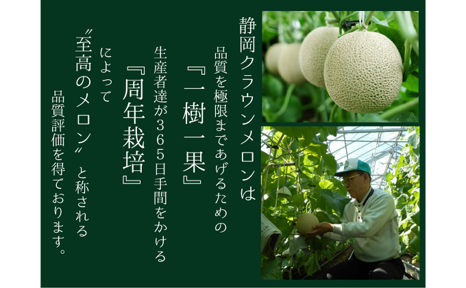 クラウンメロン（白上級）１玉入 