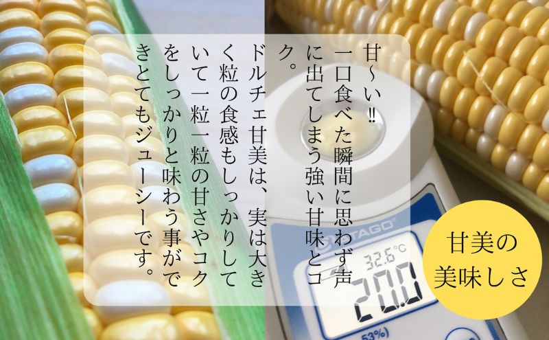 【先行予約】リピーター続出！とうもろこし【ドルチェ甘美】