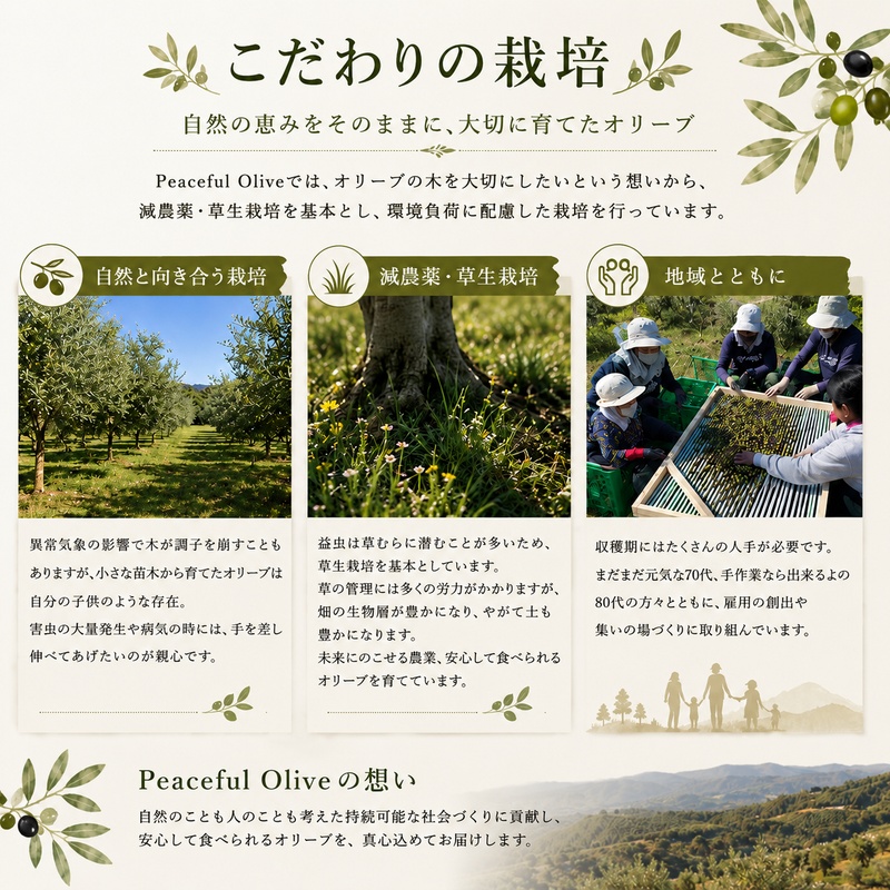 静岡県袋井市産 エキストラバージンオリーブオイル 100ml×2本 香り豊かでやさしい味わい 調味料 食用油 国産 ※配送不可：離島