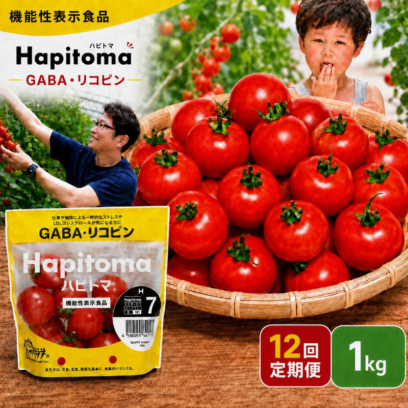 【12ヶ月定期便】機能性表示食品 Hapitoma ハピトマ 糖度7（1kg）【配送不可：北海道・沖縄・離島】健康 ヘルシー GABA リコピン 人気 厳選 袋井市 野菜 トマト ミニトマト とまと 12回 1年 
