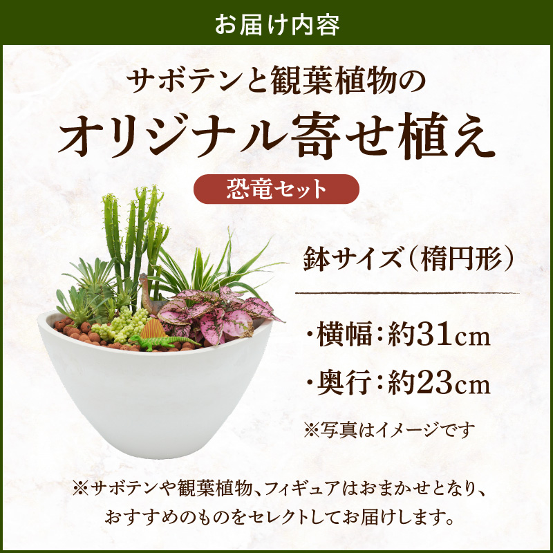 サボテンと観葉植物のオリジナル寄せ植え【恐竜セット】