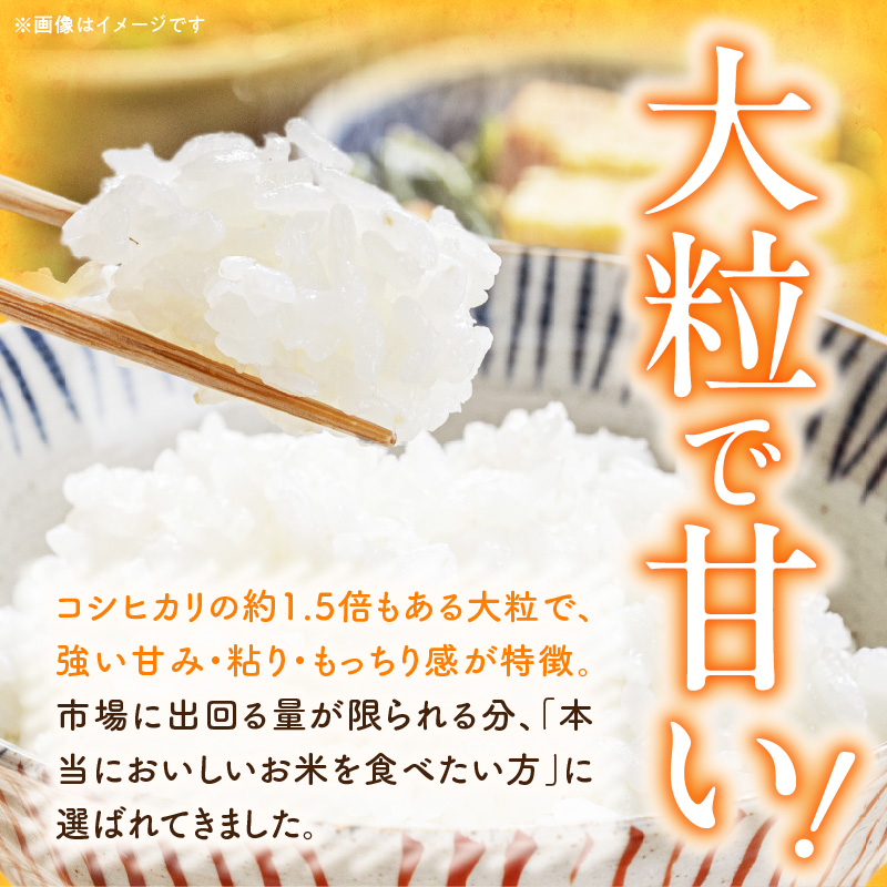 【R8年産新米 先行受付】特別栽培米「いのちの壱」（5kg）＜農家直送＞ 希少米 5kg 米 新米 精米 白米 ご飯 国産 産地直送 甘い 粘り強い もちもち お取り寄せ こだわり米 愛知県 小牧市 送料無料