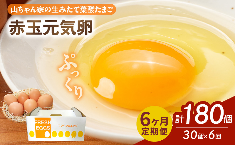 【6ヶ月定期便】【山ちゃん家の生みたて葉酸たまご】赤玉元気卵（30個入り）