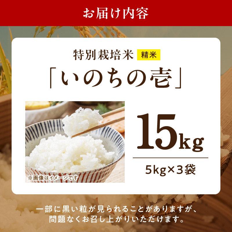 【R8年産新米 先行受付】特別栽培米「いのちの壱」（15kg）＜農家直送＞ 希少米 15kg 米 新米 精米 白米 ご飯 国産 産地直送 甘い 粘り強い もちもち お取り寄せ こだわり米 愛知県 小牧市 送料無料