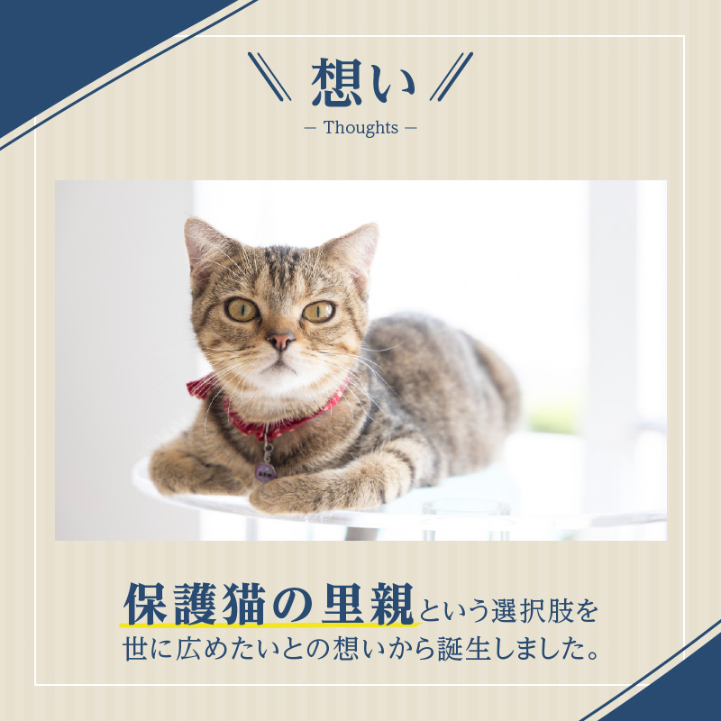 アクリル製キャットタワー3段