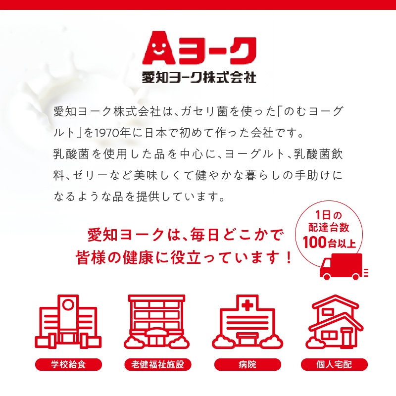 【3ヶ月定期便】愛知ヨーク　ソフトクリームヨーグルト　20個入
