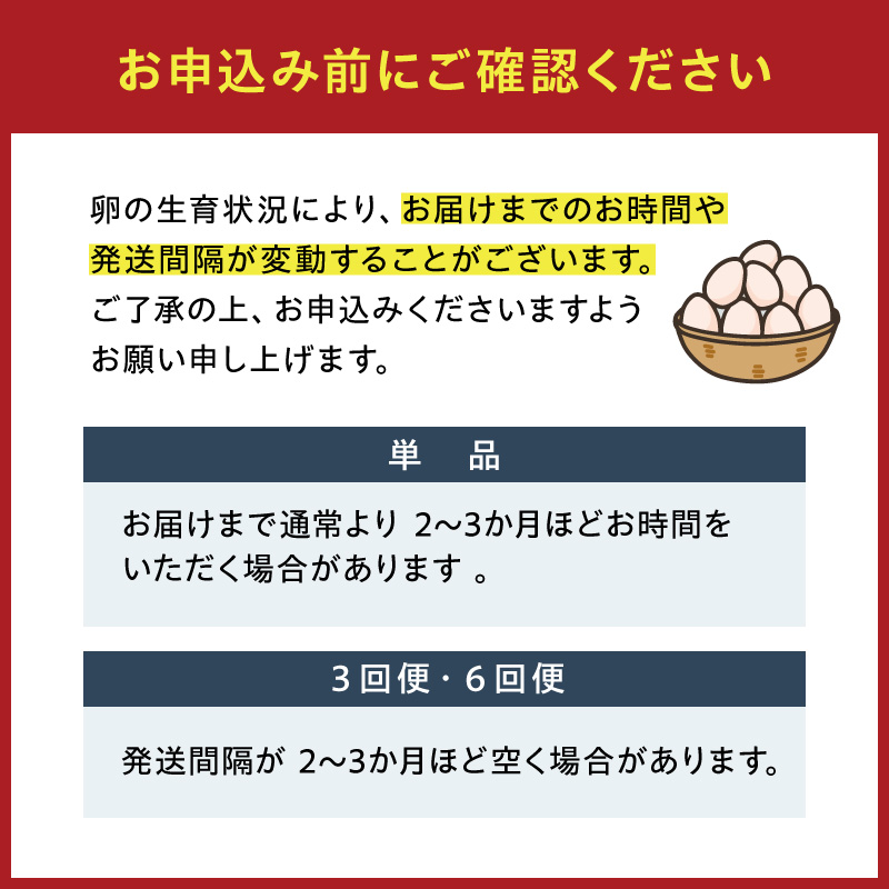 【3回便】名古屋コーチン卵・仙寿卵お試しセット（各10個入り）×3回（計30個）　地鶏 鶏卵 たまご タマゴ 玉子 生卵
