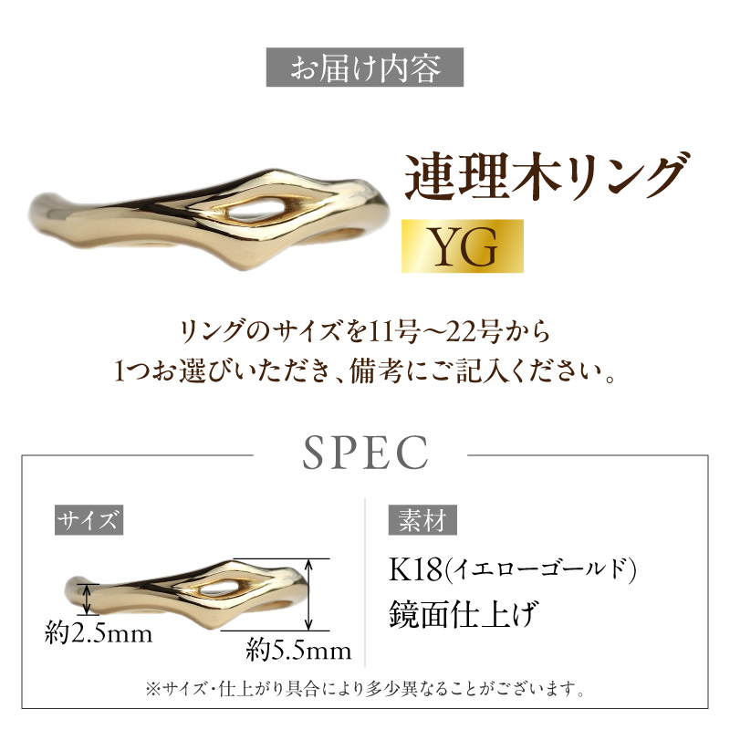 K18連理木リング〈2.5mm-5.5mm幅〉 K18 連理木 リング 2.5mm幅 選べる サイズ 11号 ～ 22号 イエローゴールド 夫婦和合 縁結び 指輪 18金 鏡面仕上げ アクセサリー ジュエリー ペアリング ファッションリング プレゼント用 ギフト用 日本製 愛知県 小牧市 送料無料