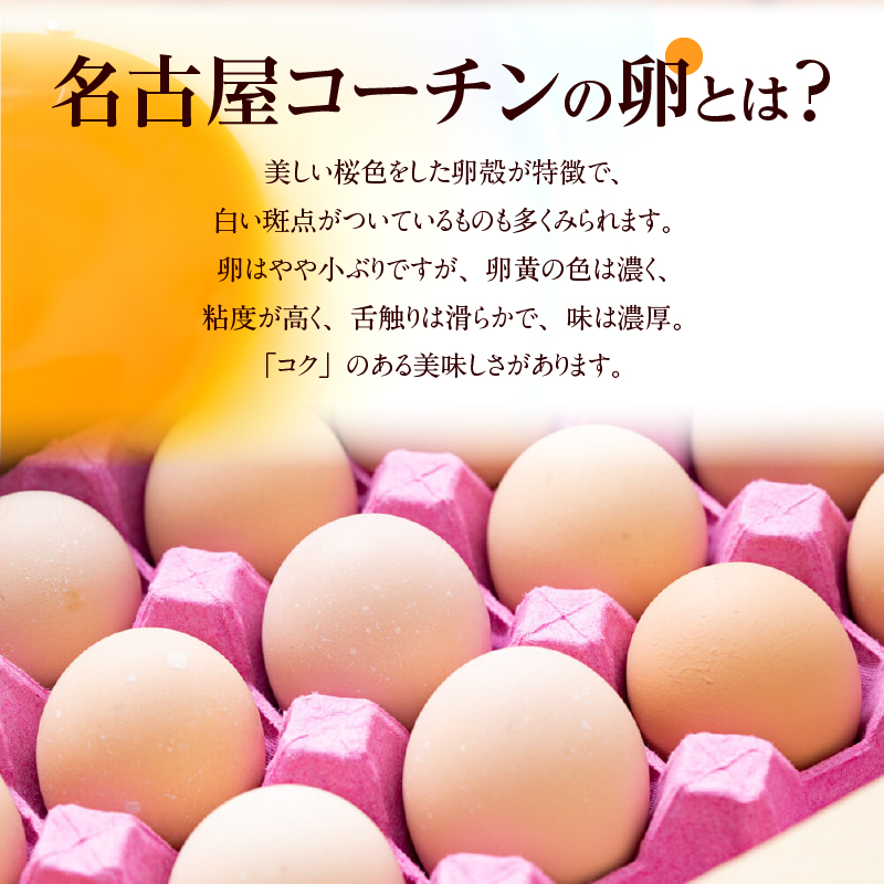 【3回便】名古屋コーチン卵・仙寿卵お試しセット（各10個入り）×3回（計30個）　地鶏 鶏卵 たまご タマゴ 玉子 生卵