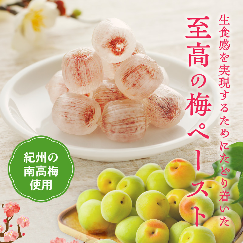 生梅飴　梅飴 梅キャンディ 紀州 南高梅 梅肉エキス ペースト お菓子 あめ キャンディー 飴 個包装 袋 リボン RIBON