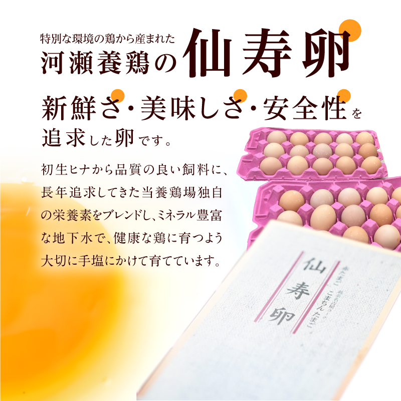 【3回便】名古屋コーチン卵・仙寿卵お試しセット（各10個入り）×3回（計30個）　地鶏 鶏卵 たまご タマゴ 玉子 生卵