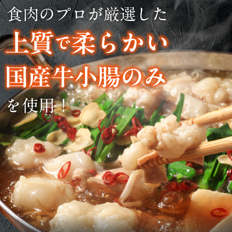 【食肉総合卸 丸正】厳選国産牛のもつ鍋セット（6人前） 