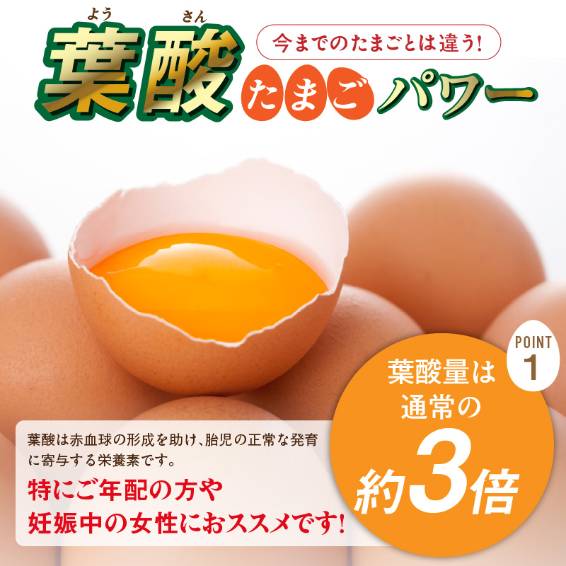 【6ヶ月定期便】【山ちゃん家の生みたて葉酸たまご】名古屋コーチン卵（30個入り）