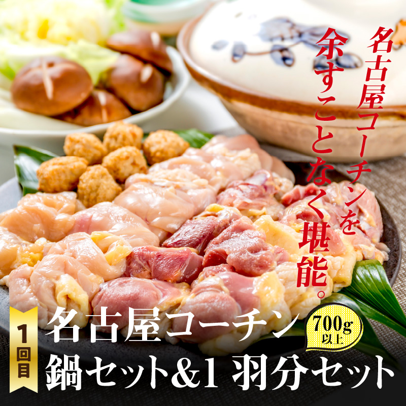 【半年に1回　計2回定期便】名古屋コーチン鍋&名古屋コーチン1羽分セット・名古屋コーチン焼鳥セット