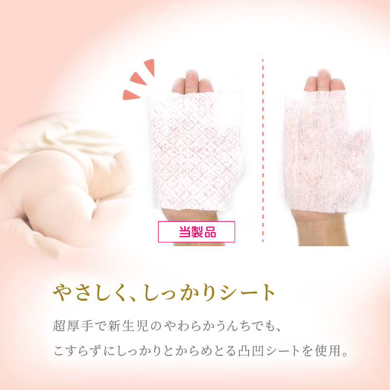 【ふるさと納税】定期便 2回 おしりふき 30パック ( 60枚入り ) 厚手 凸凹シート 使用 水分たっぷり 純水 99％ ボタニカルモチーフ ウェットティッシュ ノンアルコール 無香料 無添加 デリケート 衛生用品 新生児 赤ちゃん お肌 優しい ベビー用品 キッズ 送料無料 ウエットティッシュ ウェットティッシュ ウエットシート ウェットシート