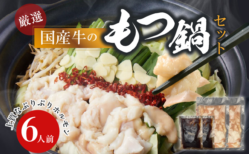 【食肉総合卸 丸正】厳選国産牛のもつ鍋セット（6人前） 