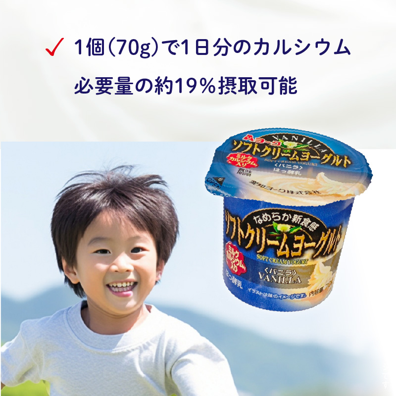 【3ヶ月定期便】愛知ヨーク　ソフトクリームヨーグルト　20個入