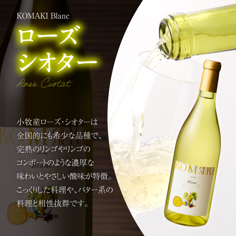 小牧ワイナリー 赤・白ワイン２本セット（小牧産ぶどう100％使用）
