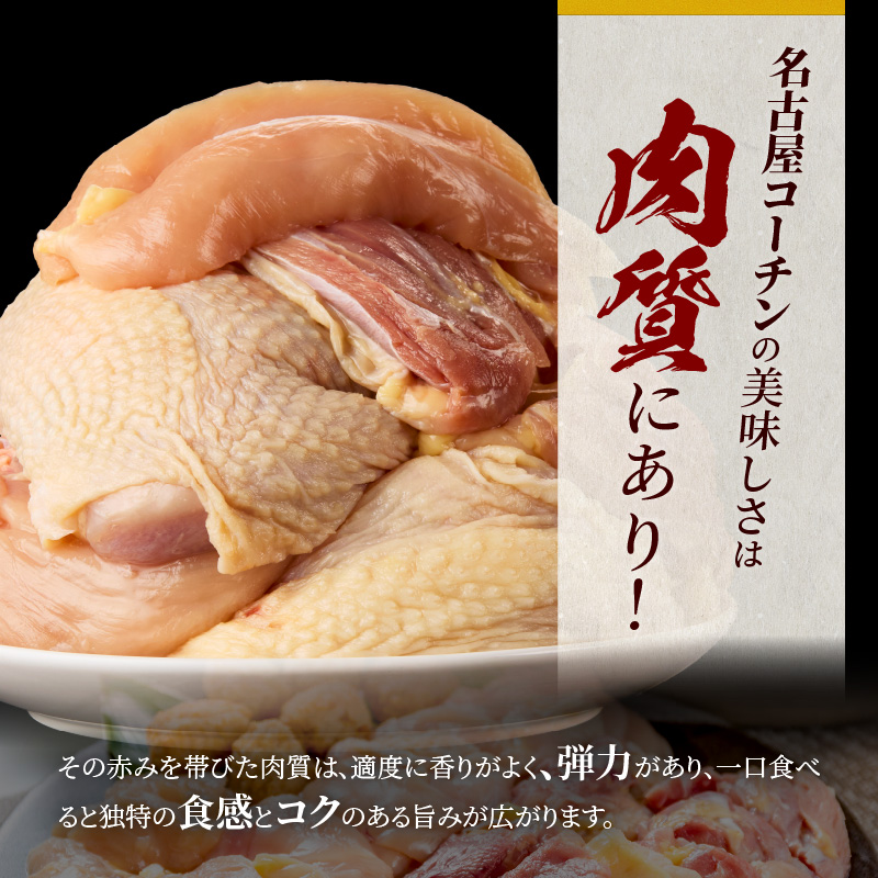 名古屋コーチン鍋セット＆名古屋コーチン1羽分セット 日本三大地鶏 鍋セット 鶏肉 もも肉 むね肉 ササミ 肉団子 鍋料理