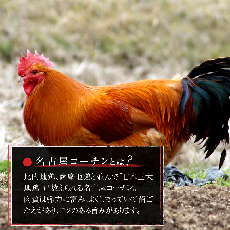 名古屋コーチン親子丼の素4食セット　もも肉 地鶏 卵 鶏肉
