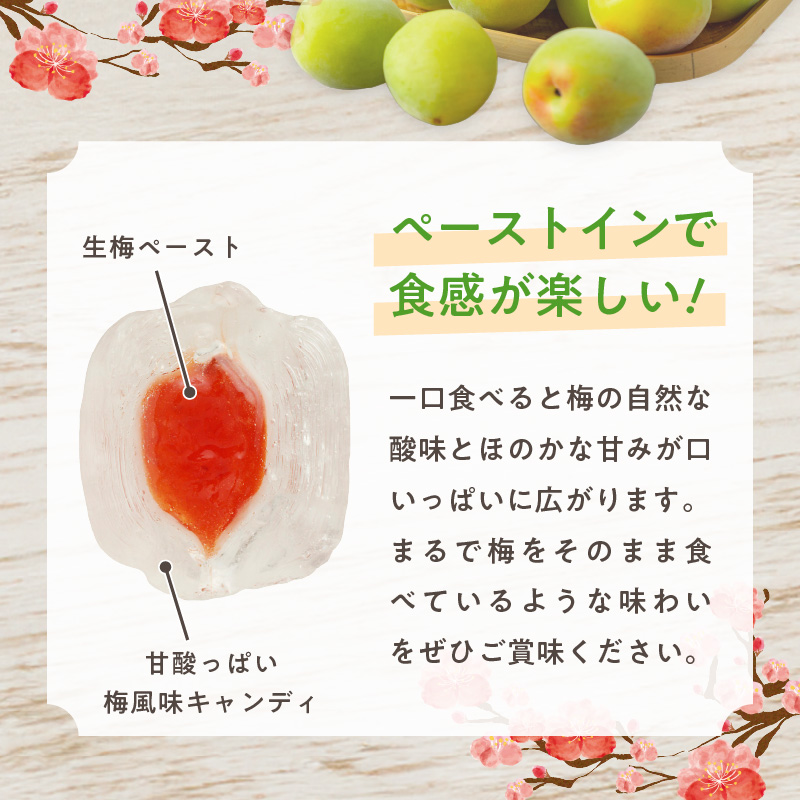 生梅飴　梅飴 梅キャンディ 紀州 南高梅 梅肉エキス ペースト お菓子 あめ キャンディー 飴 個包装 袋 リボン RIBON