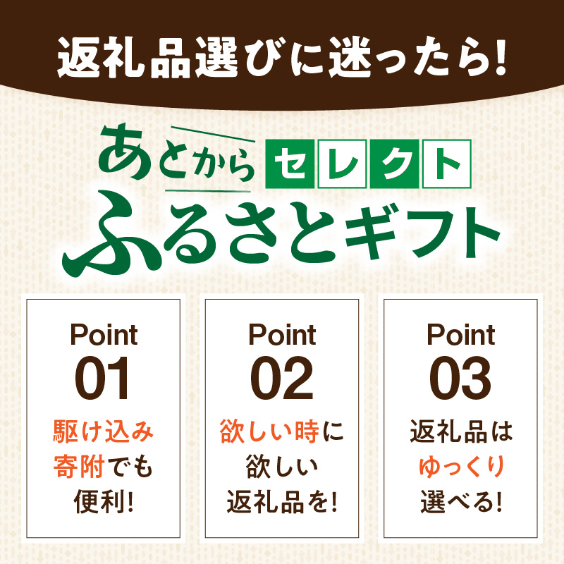 【小牧市ふるさと納税】あとからセレクト【ふるさとギフト】30,000円 あとからセレクト ふるさとギフト 30,000円分 あとから選べる ギフト券 ギフトポイント 後日 選ぶ 後から ゆっくり 選べる 特産品に交換 発行より1年間 愛知県 小牧市 送料無料