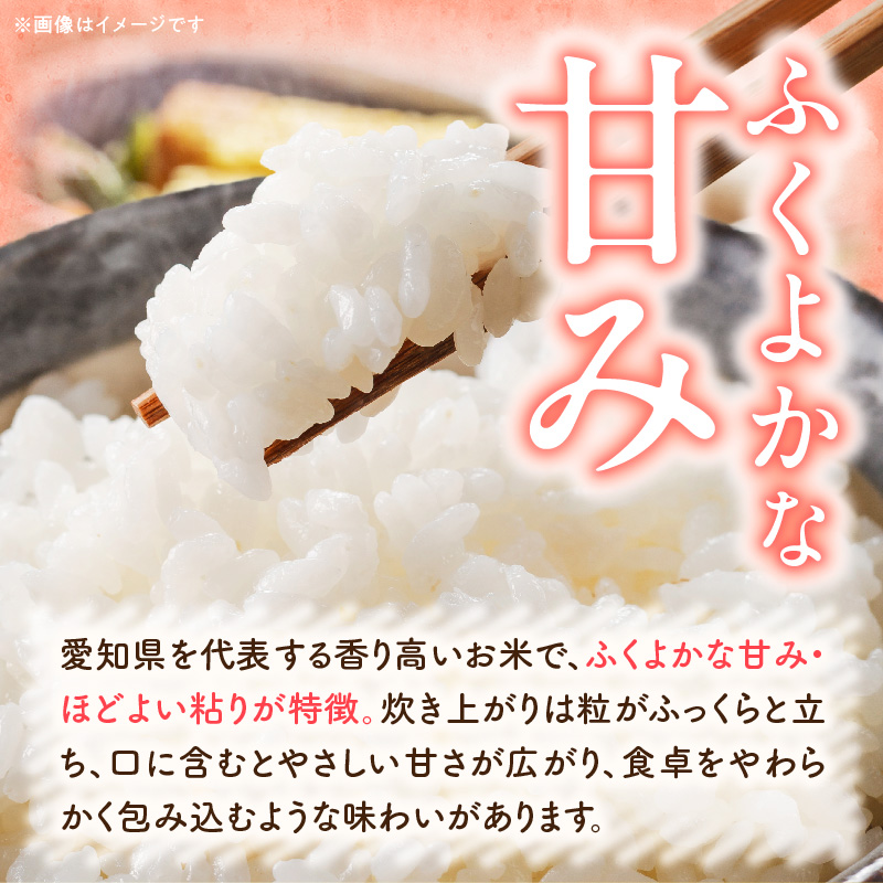 【R8年産新米 先行受付】「あいちのかおり」（5kg）＜農家直送＞ 5kg 米 新米 精米 白米 ご飯 国産 産地直送 ふくよかな甘み ほどよい粘り お取り寄せ 愛知県 小牧市 送料無料