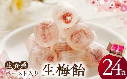 生梅飴　梅飴 梅キャンディ 紀州 南高梅 梅肉エキス ペースト お菓子 あめ キャンディー 飴 個包装 袋 リボン RIBON