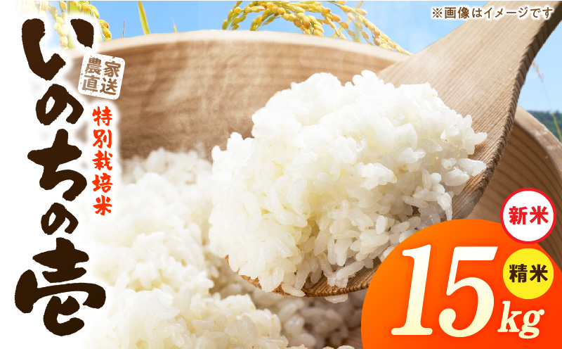 【R8年産新米 先行受付】特別栽培米「いのちの壱」（15kg）＜農家直送＞ 希少米 15kg 米 新米 精米 白米 ご飯 国産 産地直送 甘い 粘り強い もちもち お取り寄せ こだわり米 愛知県 小牧市 送料無料
